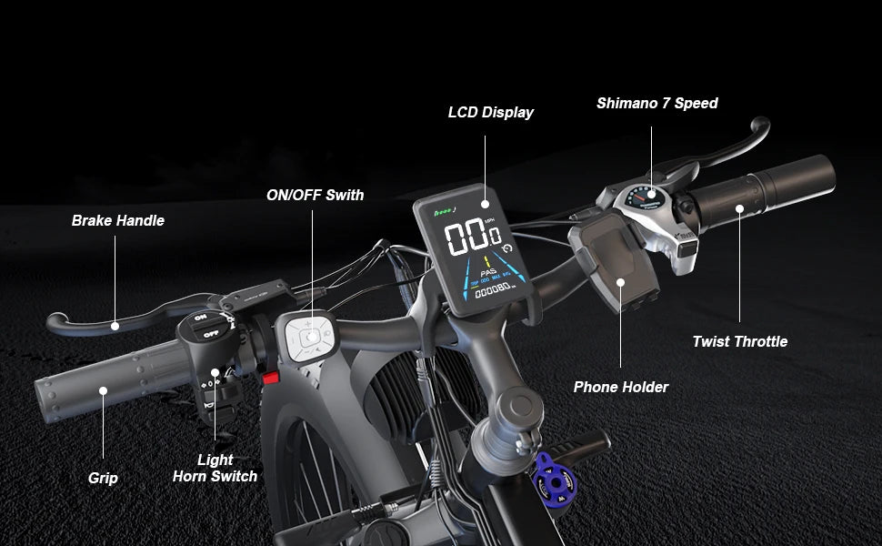 E-Bike Hidden Dual Battery Snow Beach Electric Bicycle